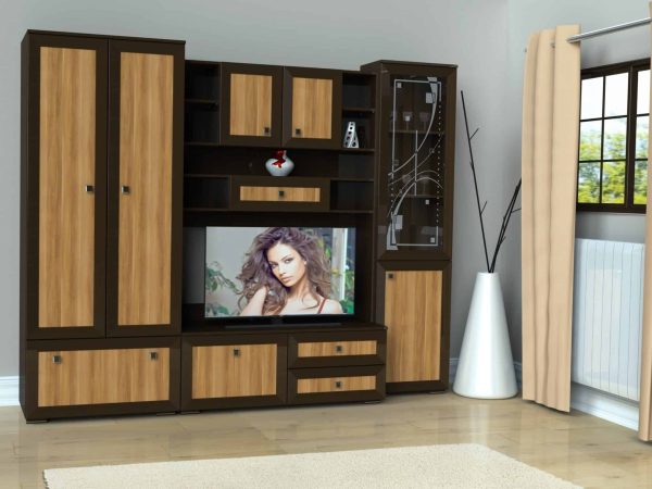 Living Freddy, Havana/Wenge
