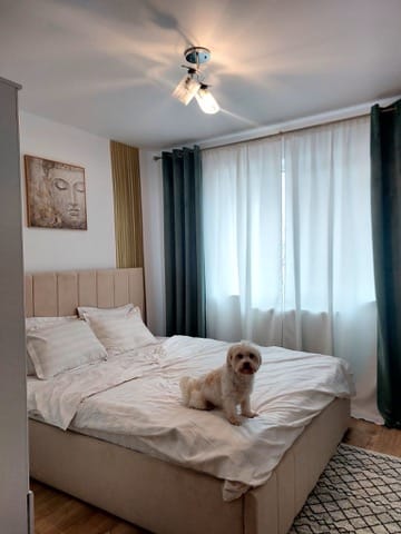 Pat tapitat Prado 180x200 cm, Bej photo review